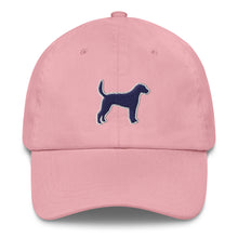 Load image into Gallery viewer, The Harrier Flagship Hat